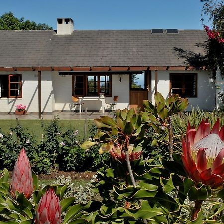 Heatherhill Farmhouse - Sea & Mountain Views 普勒滕贝格湾 外观 照片