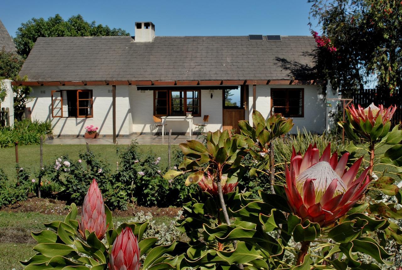Heatherhill Farmhouse - Sea & Mountain Views 普勒滕贝格湾 外观 照片