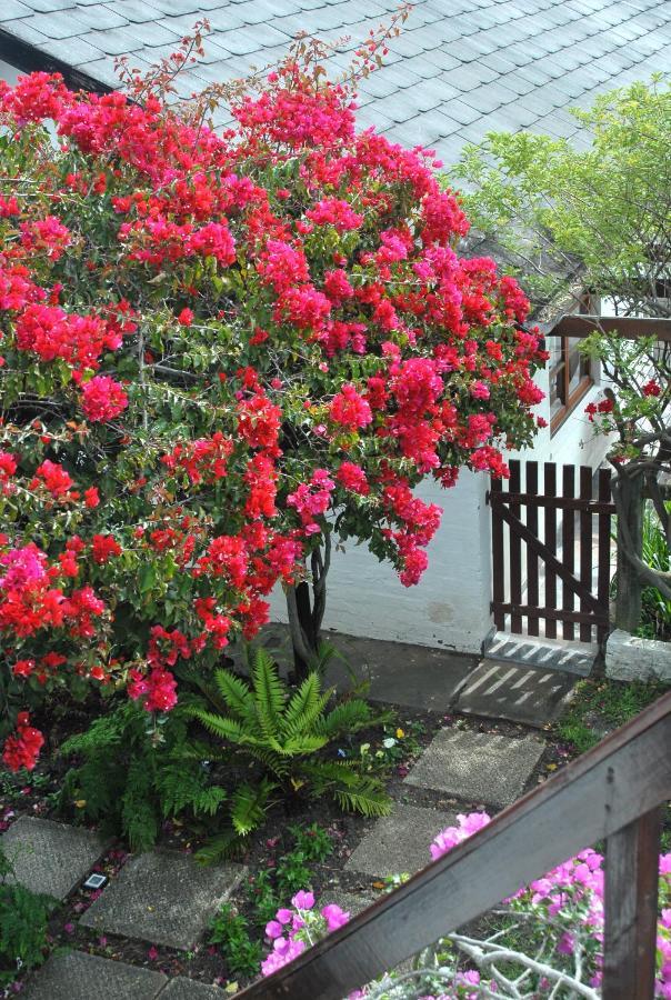 Heatherhill Farmhouse - Sea & Mountain Views 普勒滕贝格湾 外观 照片